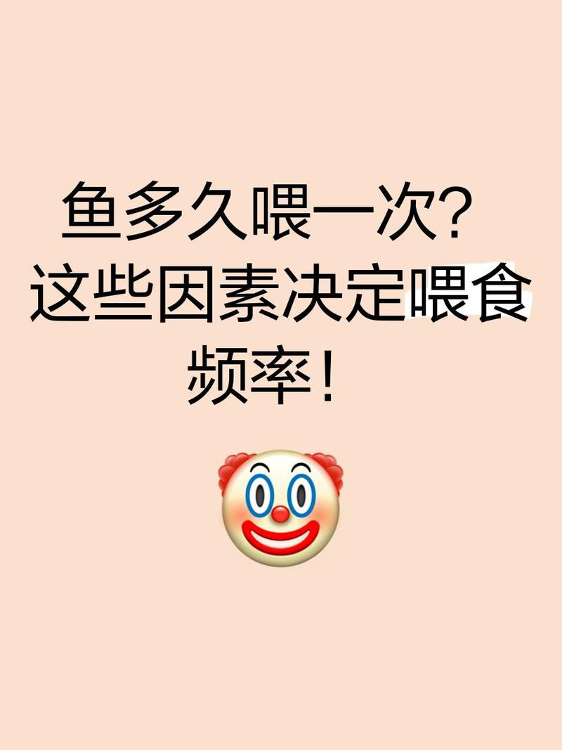 藍(lán)金龍魚(yú)多久喂一次？