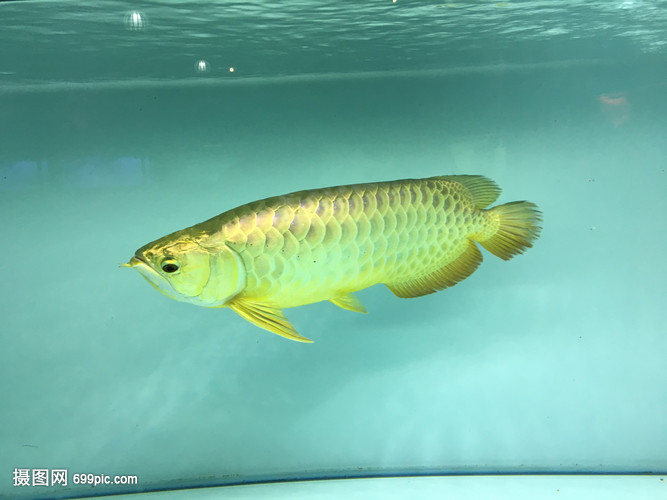 紹興縣柯橋魚樂圈水族館（紹興縣柯橋魚樂圈水族館電話）
