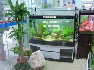 廣州魚缸清洗公司排名信息推薦，魚缸清洗服務質量和排名：如何選擇合適的魚缸清洗服務