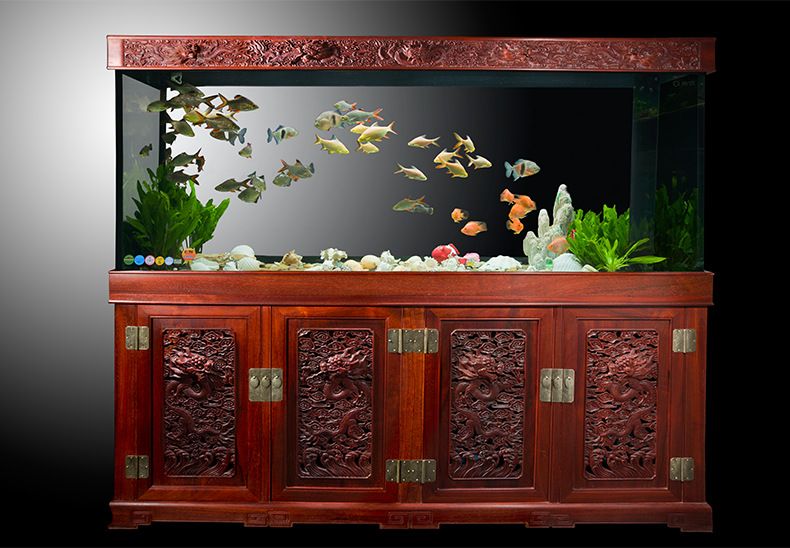 亮點(diǎn)魚缸安裝：亮點(diǎn)魚缸安裝技術(shù)