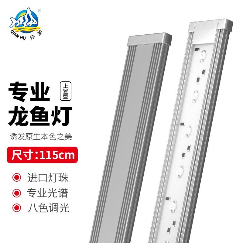 龍魚發色燈和增艷燈什么區別啊視頻講解一下：龍魚發色燈與增艷燈的區別 龍魚發色燈和增艷燈什么區別啊視頻講解一下：龍魚發色燈與增艷燈的區別 龍魚百科 第4張