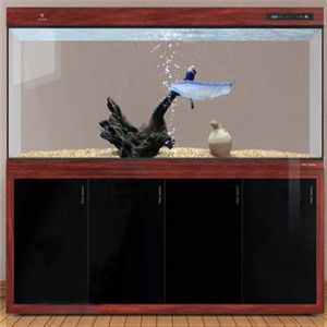 可麗愛魚缸售后維修電話（可麗愛魚缸售后服務）