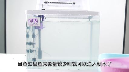 過濾桶和魚缸糞便收集器的區別：過濾桶和魚缸糞便收集器各有其特點和適用場景