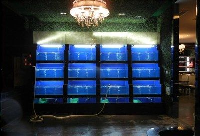 海鮮魚缸的溫度管理是確保海鮮存活的關(guān)鍵因素之一：海鮮養(yǎng)殖的溫度管理是確保海鮮存活的關(guān)鍵因素之一