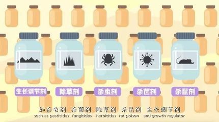 廣州魚缸sianlon祥龍魚場：探尋廣州水族批發市場，祥龍魚場的位置與特色