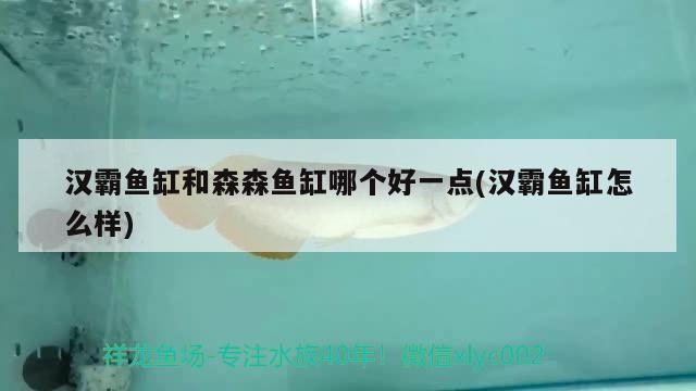 漢霸魚缸好不好：漢霸魚缸品牌性價比排行森森魚缸優(yōu)點和缺點