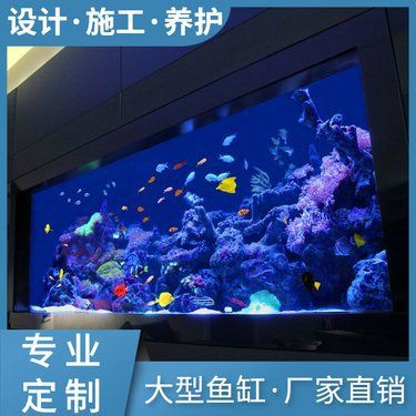 海東魚缸定做，海東地區的魚缸定做服務獨具特色