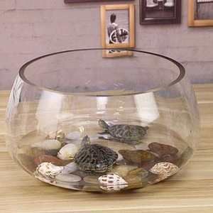 鋼化玻璃魚缸的價(jià)格因尺寸、材質(zhì)等因素而異：如何選擇適合的鋼化玻璃魚缸