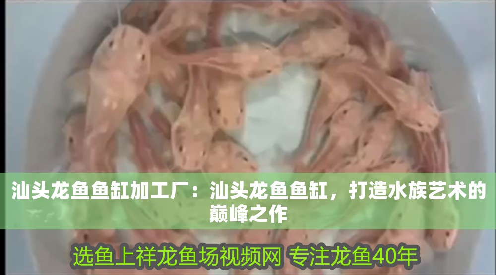 汕頭龍魚魚缸加工廠:汕頭龍魚魚缸,打造水族藝術(shù)的巔峰之作 魚缸百科 第1張 汕頭龍魚魚缸加工廠:汕頭龍魚魚缸,打造水族藝術(shù)的巔峰之作 汕頭龍魚魚缸加工廠:汕頭龍魚魚缸,打造水族藝術(shù)的巔峰之作 魚缸百科 第1張