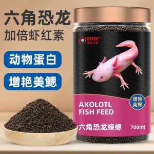 六角恐龍魚專用飼料（六角恐龍魚專用飼料品牌推薦六角恐龍魚專用飼料喂食技巧）
