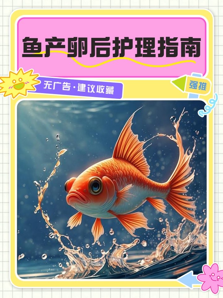 銀龍魚產卵后怎么處理