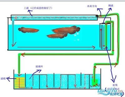 虹吸過濾魚缸虹吸制作方法自制（自制虹吸過濾系統）