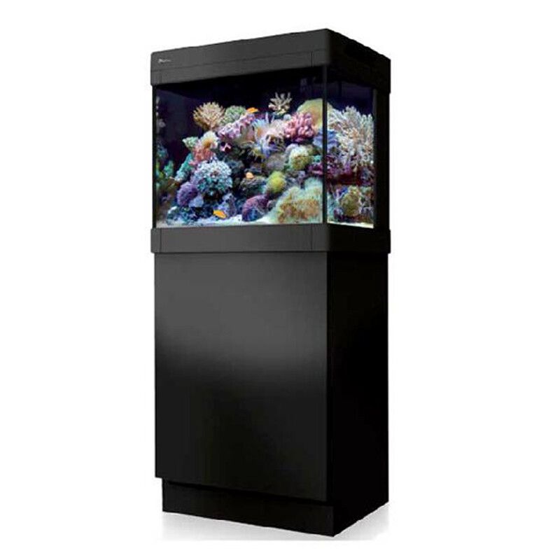 紅海魚缸多少錢一平方：紅海魚缸多少錢一個平方