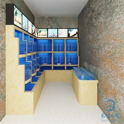 水族箱日常護理指南：底濾魚缸常用的幾種消毒方法，可以幫助養魚愛好者做出明智的選擇