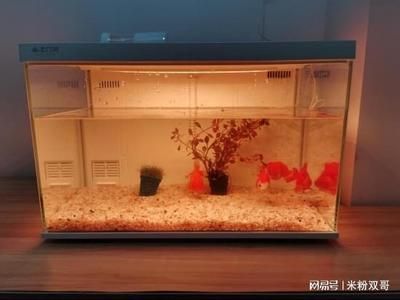 米家畫法幾何魚缸:米家畫法幾何魚缸怎么樣 魚缸百科 第2張 米家畫法幾何魚缸:米家畫法幾何魚缸怎么樣 米家畫法幾何魚缸:米家畫法幾何魚缸怎么樣 魚缸百科 第2張
