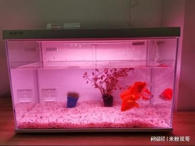 米家畫法幾何魚缸:米家畫法幾何魚缸怎么樣 魚缸百科 第4張 米家畫法幾何魚缸:米家畫法幾何魚缸怎么樣 米家畫法幾何魚缸:米家畫法幾何魚缸怎么樣 魚缸百科 第4張