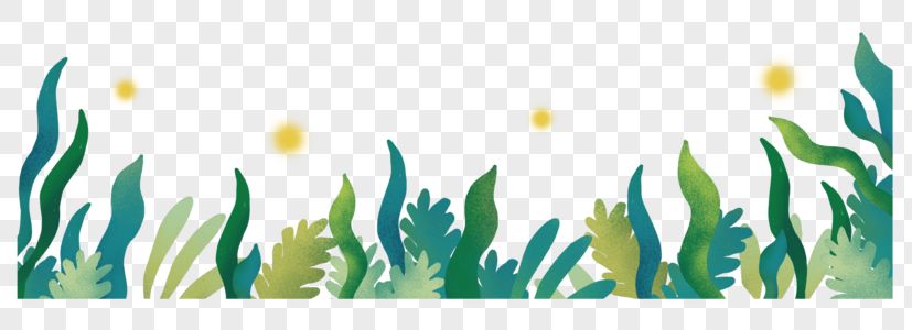 魚缸草缸圖片（水草缸造景技巧魚缸水草養護要點不同風格魚缸設計）