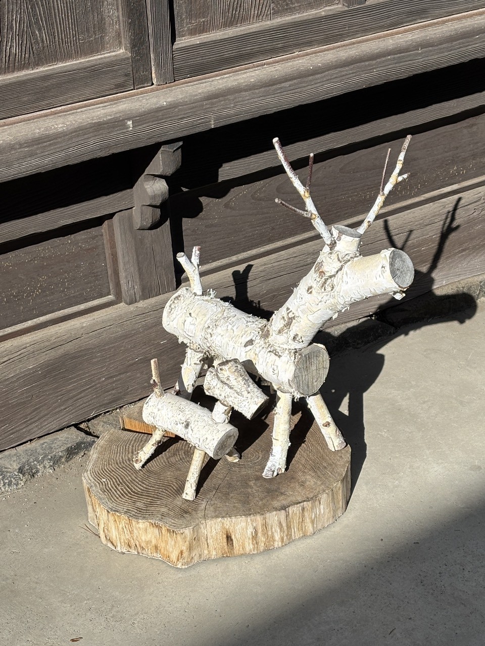 應材施藝 應材施藝 龍魚論壇