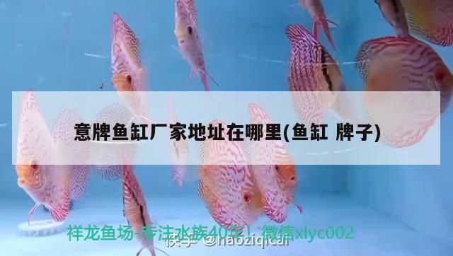 銀龍魚活食與顆粒飼料對比：銀龍魚活食與顆粒飼料對比：銀龍魚活食與顆粒飼料的對比