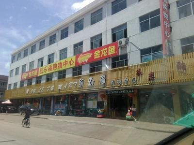 廣東金龍魚批發市場在哪里有：廣東金龍魚批發市場