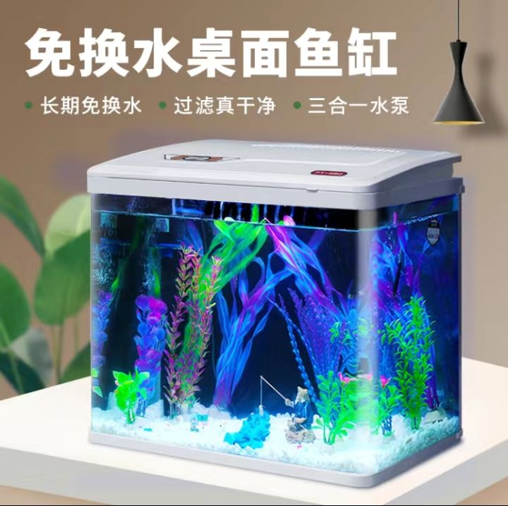換水魚缸里出現菌絲怎么回事啊（換水后魚缸出現菌絲可能是以下幾個原因進行處理）