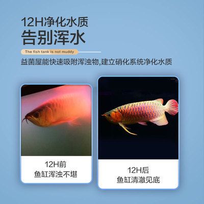 魚(yú)缸濾材品牌排行榜