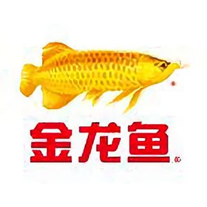 金龍魚頭像在風水文化和市場影響力方面具有積極的寓意和接受度:金龍魚頭像在不同的語境中有不同的寓意在風水文化中有不同的寓意 龍魚百科 第2張 金龍魚頭像在風水文化和市場影響力方面具有積極的寓意和接受度:金龍魚頭像在不同的語境中有不同的寓意在風水文化中有不同的寓意 金龍魚頭像在風水文化和市場影響力方面具有積極的寓意和接受度:金龍魚頭像在不同的語境中有不同的寓意在風水文化中有不同的寓意 龍魚百科 第2張