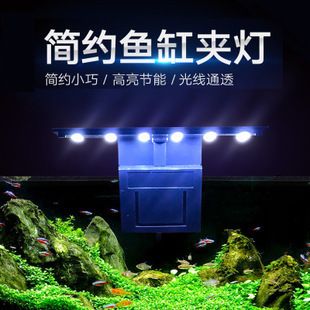 魚缸燈架有用嗎:如何安裝魚缸燈架,魚缸燈架裝飾效果 魚缸百科 第3張 魚缸燈架有用嗎:如何安裝魚缸燈架,魚缸燈架裝飾效果 魚缸燈架有用嗎:如何安裝魚缸燈架,魚缸燈架裝飾效果 魚缸百科 第3張