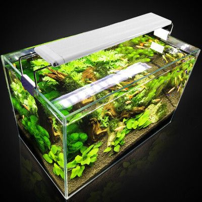 魚缸燈架有用嗎:如何安裝魚缸燈架,魚缸燈架裝飾效果 魚缸百科 第2張 魚缸燈架有用嗎:如何安裝魚缸燈架,魚缸燈架裝飾效果 魚缸燈架有用嗎:如何安裝魚缸燈架,魚缸燈架裝飾效果 魚缸百科 第2張