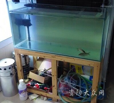 魚缸安裝方法視頻：魚缸安裝方法文字版教程：魚缸安裝方法視頻詳情