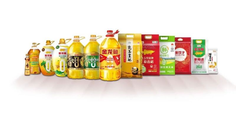 金龍魚廣告策劃方案設計 金龍魚廣告策劃方案設計 龍魚百科 第4張