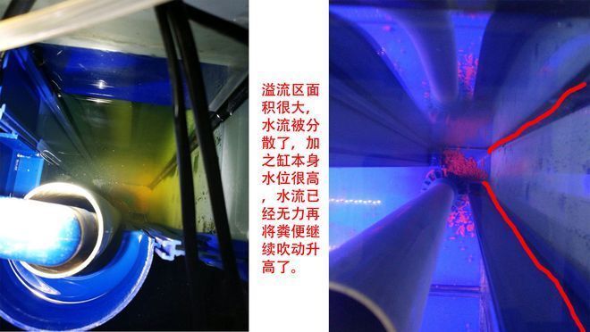 森森魚缸存便：森森魚缸溢流區(qū)存便問題可以通過多種措施解決 森森魚缸存便：森森魚缸溢流區(qū)存便問題可以通過多種措施解決 魚缸百科 第2張