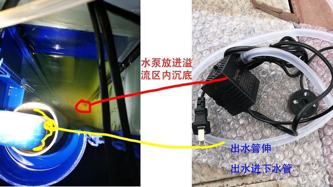 森森魚缸存便：森森魚缸溢流區(qū)存便問題可以通過多種措施解決 森森魚缸存便：森森魚缸溢流區(qū)存便問題可以通過多種措施解決 魚缸百科 第1張