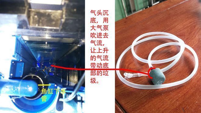 森森魚缸存便：森森魚缸溢流區(qū)存便問題可以通過多種措施解決 森森魚缸存便：森森魚缸溢流區(qū)存便問題可以通過多種措施解決 魚缸百科 第3張