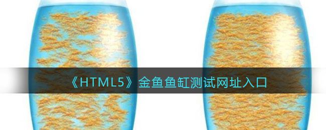 魚缸評測：兩棲生態魚缸適合養什么魚魚缸過濾系統的選購技巧