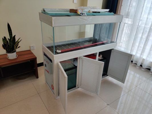 魚缸評測：兩棲生態魚缸適合養什么魚魚缸過濾系統的選購技巧