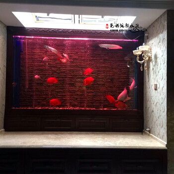 無錫鴻顏水族工程水族工程水族工程水族工程水族工程公司：無錫定制魚缸設計公司