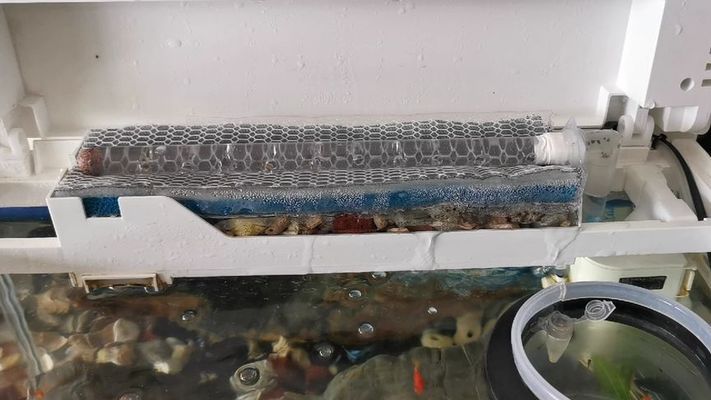 紅塔區黑克水族館（紅塔區黑克水族館電話）