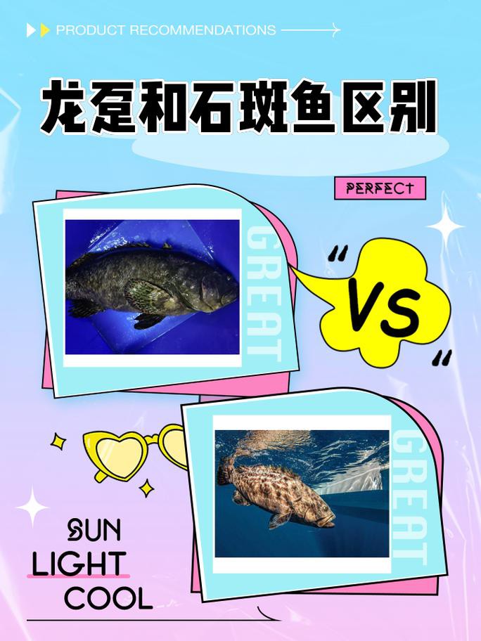 如何辨別龍躉魚的新鮮度？