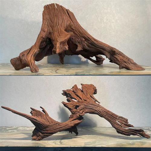 養龍魚用沉木到底好不好呢圖片