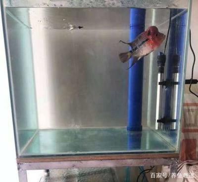 底濾魚缸可以改造成上濾嗎？：底濾魚缸可以改造為上濾嗎？