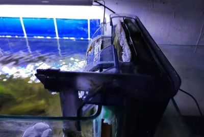沙市區(qū)逸家水族館