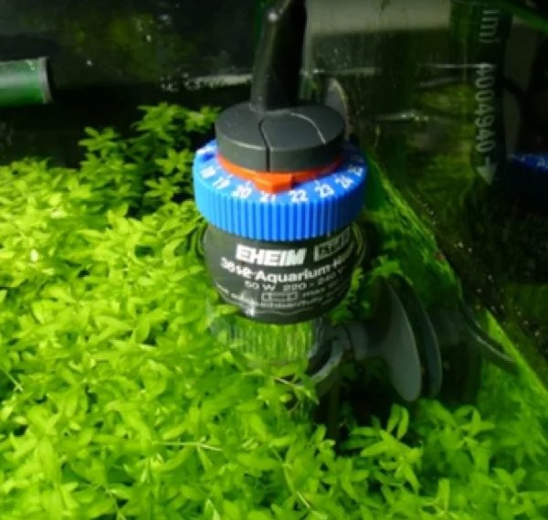 龍魚缸需要多大的加熱棒？
