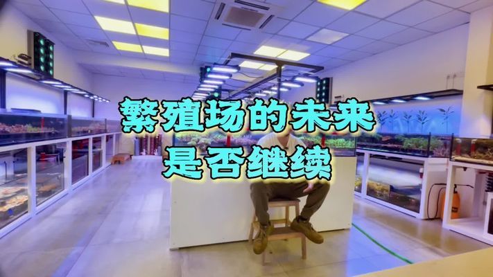 魚缸珊瑚的養殖方法視頻：珊瑚在魚缸中的養殖方法