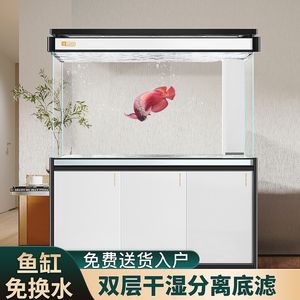 高端龍魚魚缸圖片大全，高端龍魚魚缸圖片