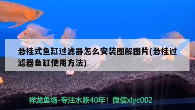 懸掛式魚缸過濾器怎么安裝圖解圖片(懸掛過濾器魚缸使用方法)