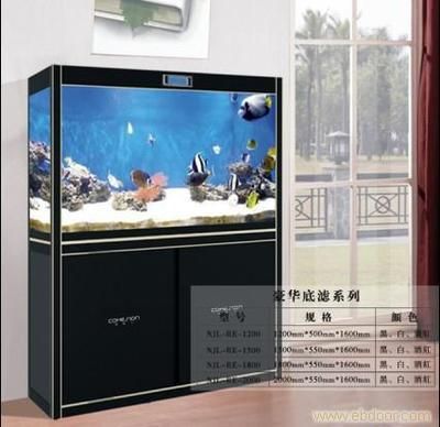 清洗底濾魚缸的方法：如何清洗底濾魚缸 清洗底濾魚缸的方法：如何清洗底濾魚缸 魚缸百科 第3張