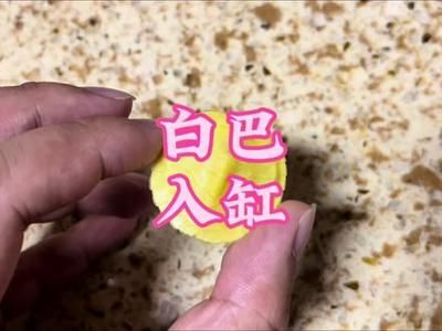 小米魚缸養(yǎng)龜：關于小米魚缸養(yǎng)龜?shù)囊曨l網(wǎng)站介紹