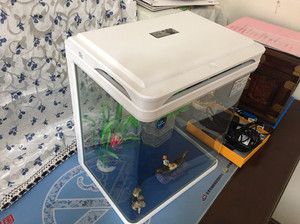 佳美q3-400 魚缸：佳美q3-400魚缸怎么樣 佳美q3-400 魚缸：佳美q3-400魚缸怎么樣 魚缸百科 第5張