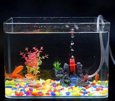 廣州魚缸廠家廣州魚缸廠家聯(lián)系方式廣州魚缸廠家地址：廣州哪里有魚缸賣一起裝修問答 廣州魚缸廠家廣州魚缸廠家聯(lián)系方式廣州魚缸廠家地址：廣州哪里有魚缸賣一起裝修問答 魚缸百科 第4張